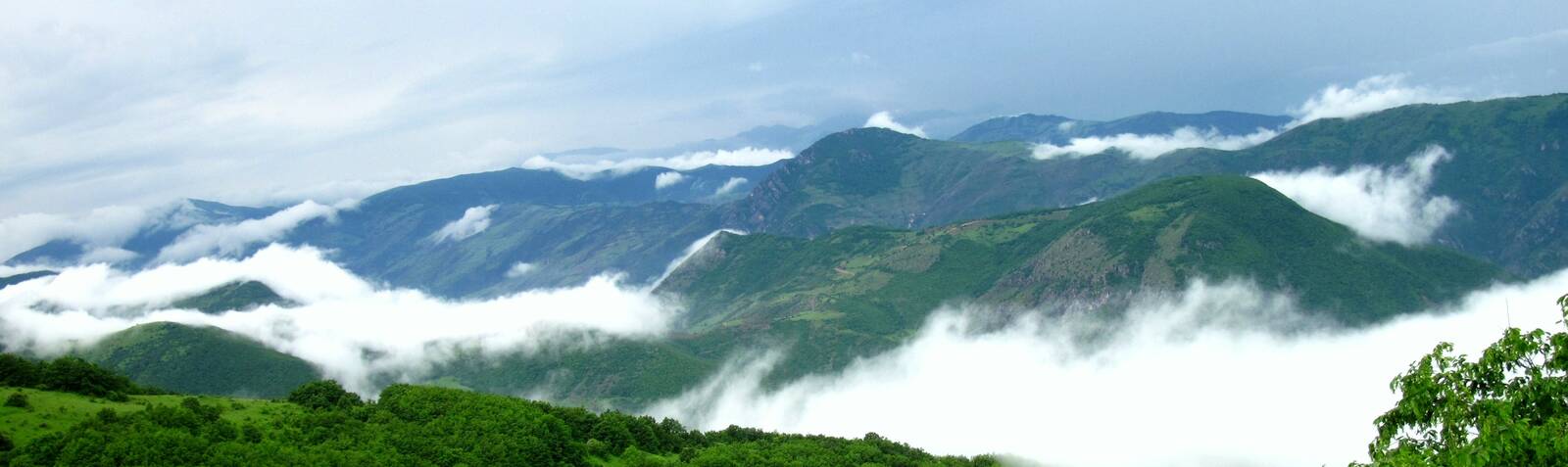 جنگل‎های ارسباران